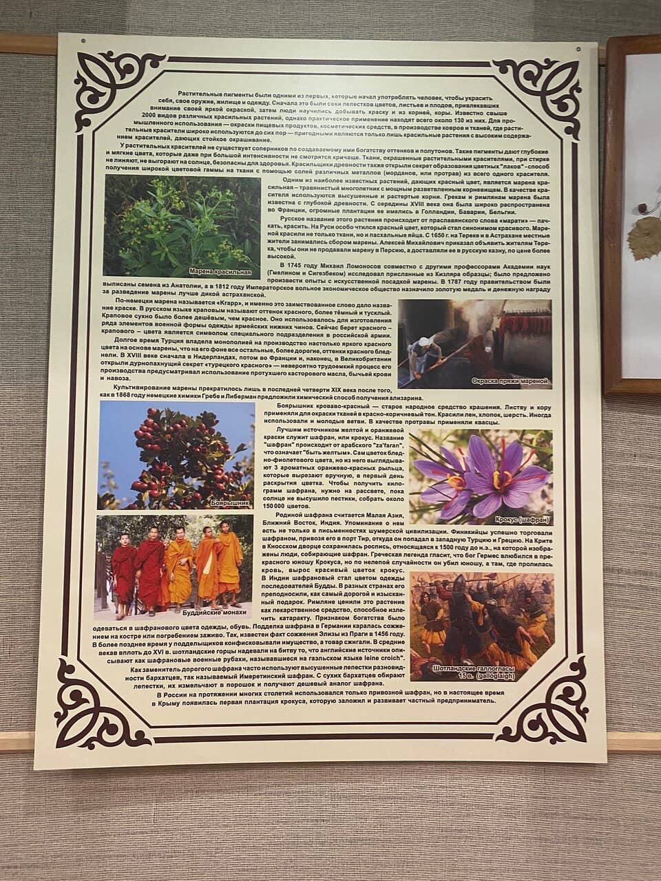 Ethnographic Displays