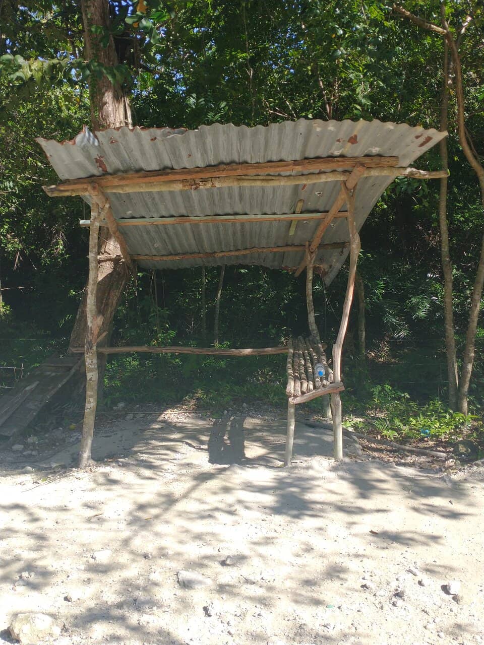 Lush Tropical Surroundings