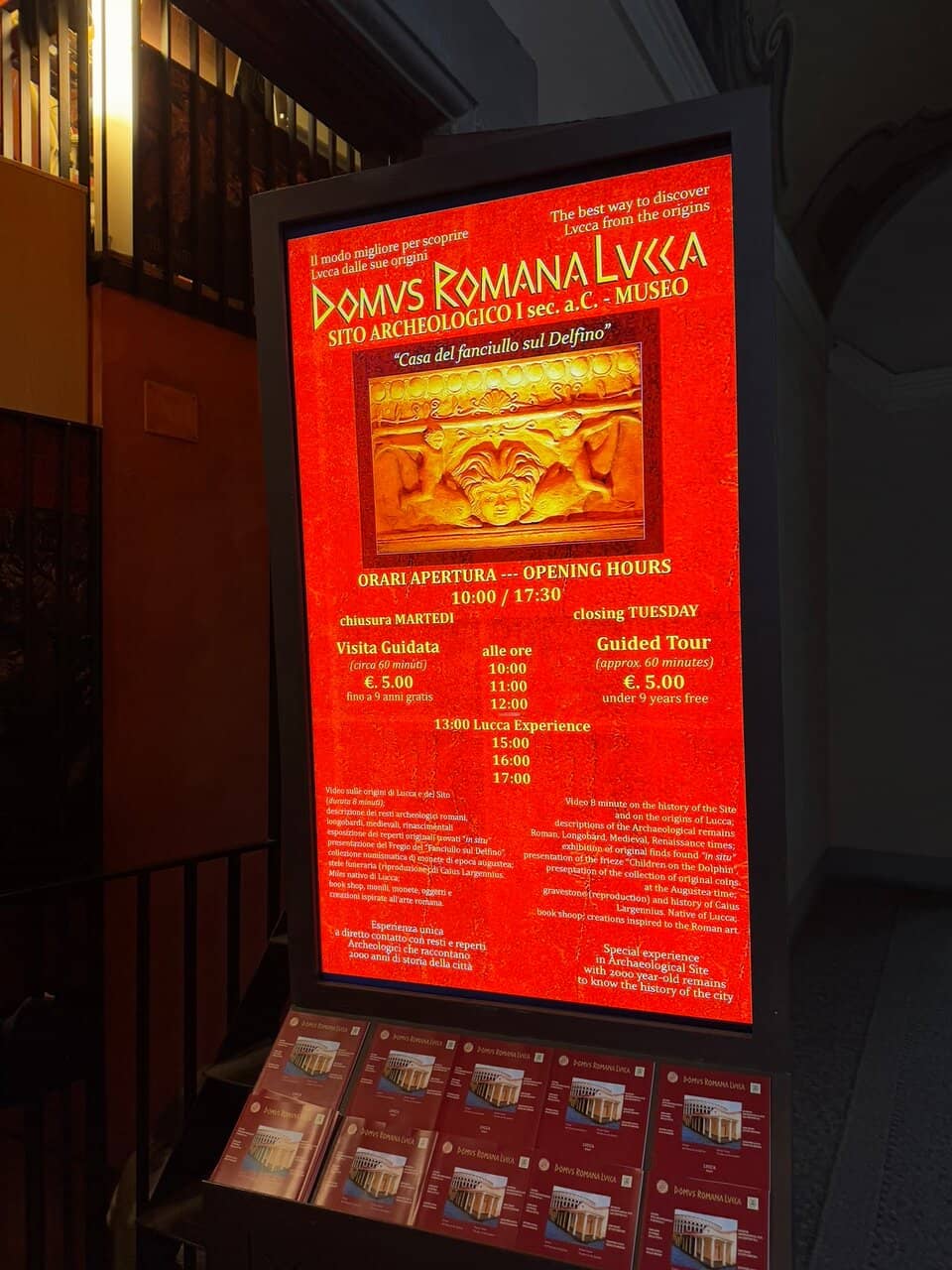 Roman Cellars Excavation