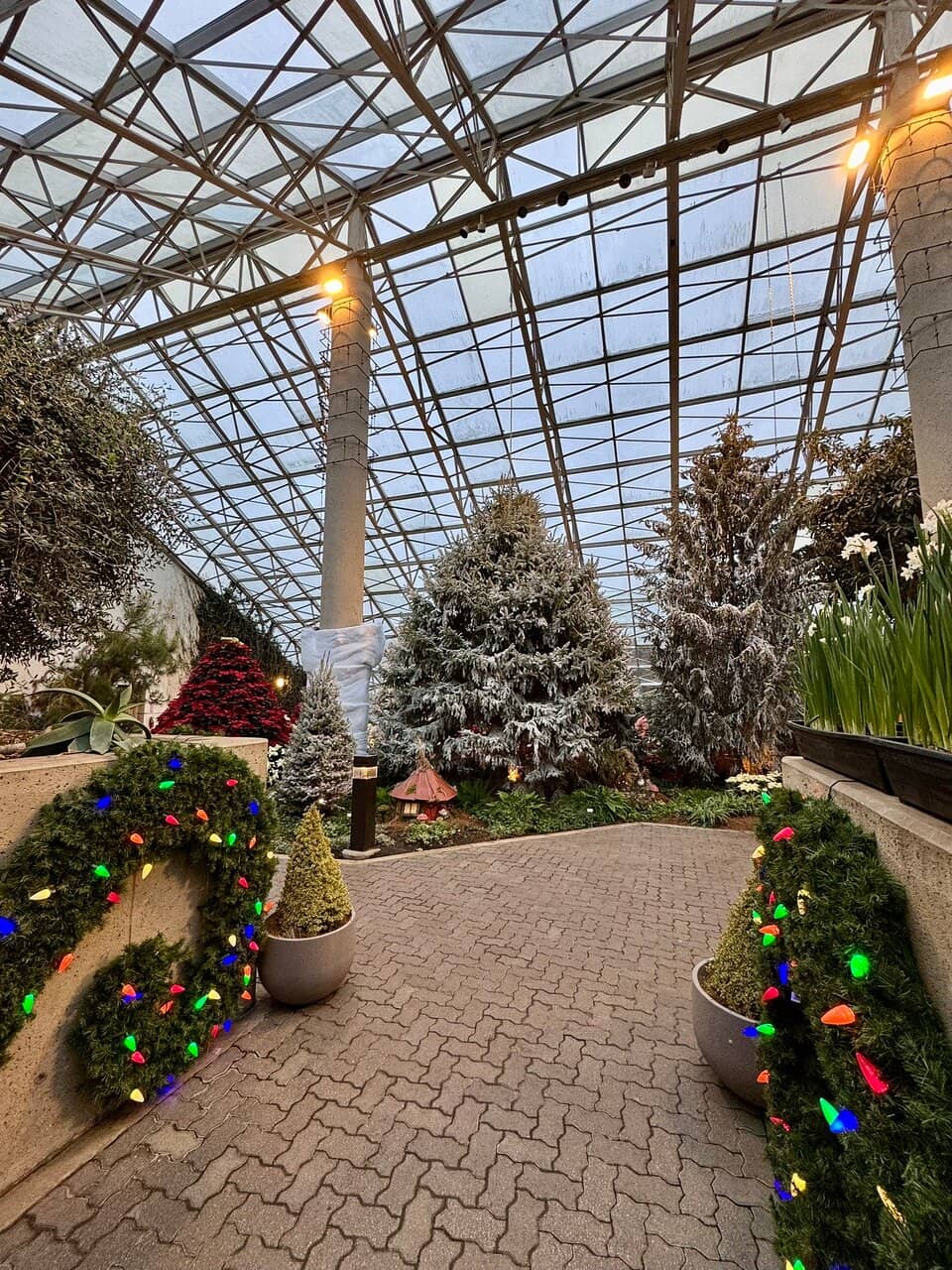 Desert Garden