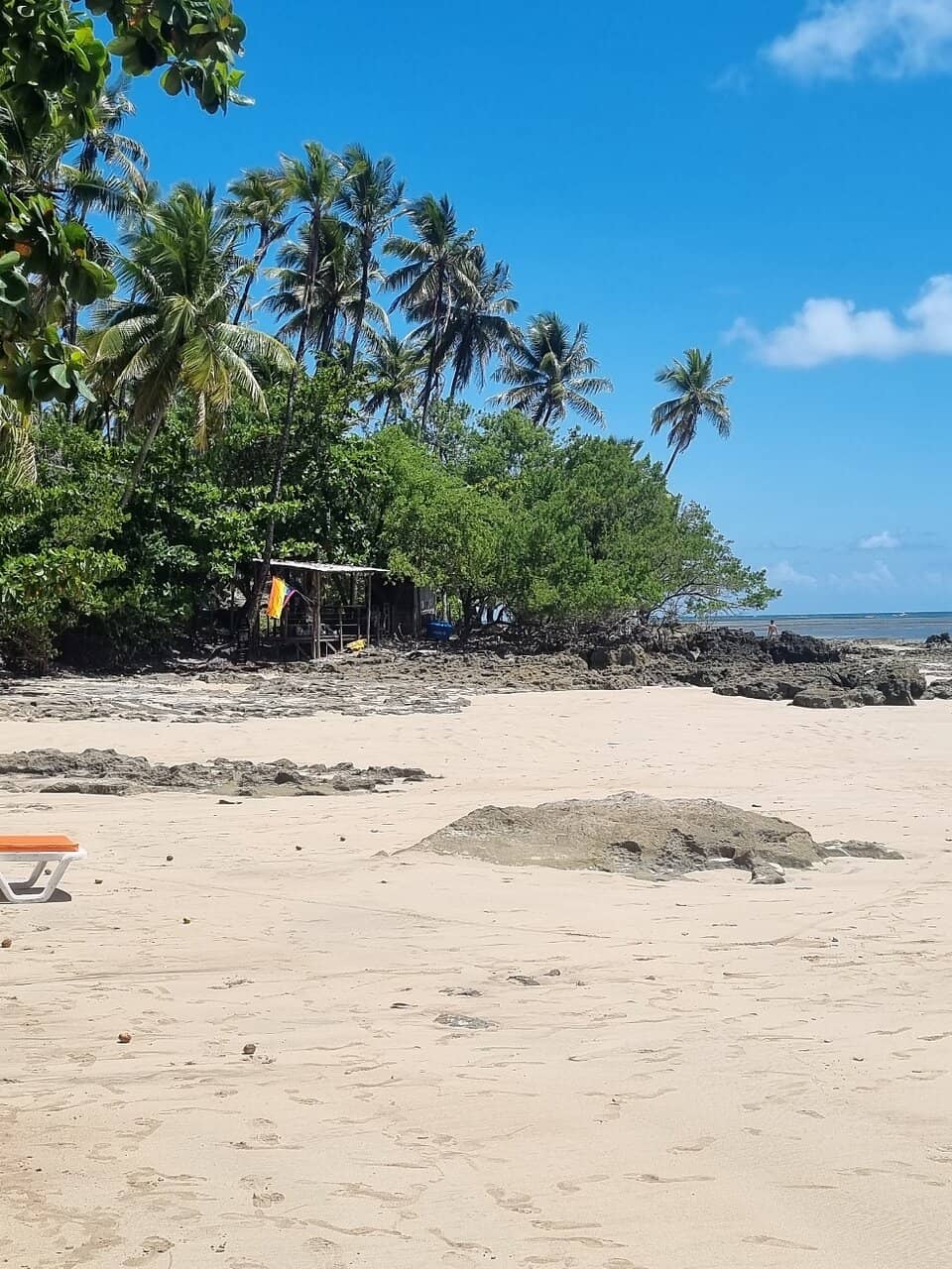 Surfing & Canoeing