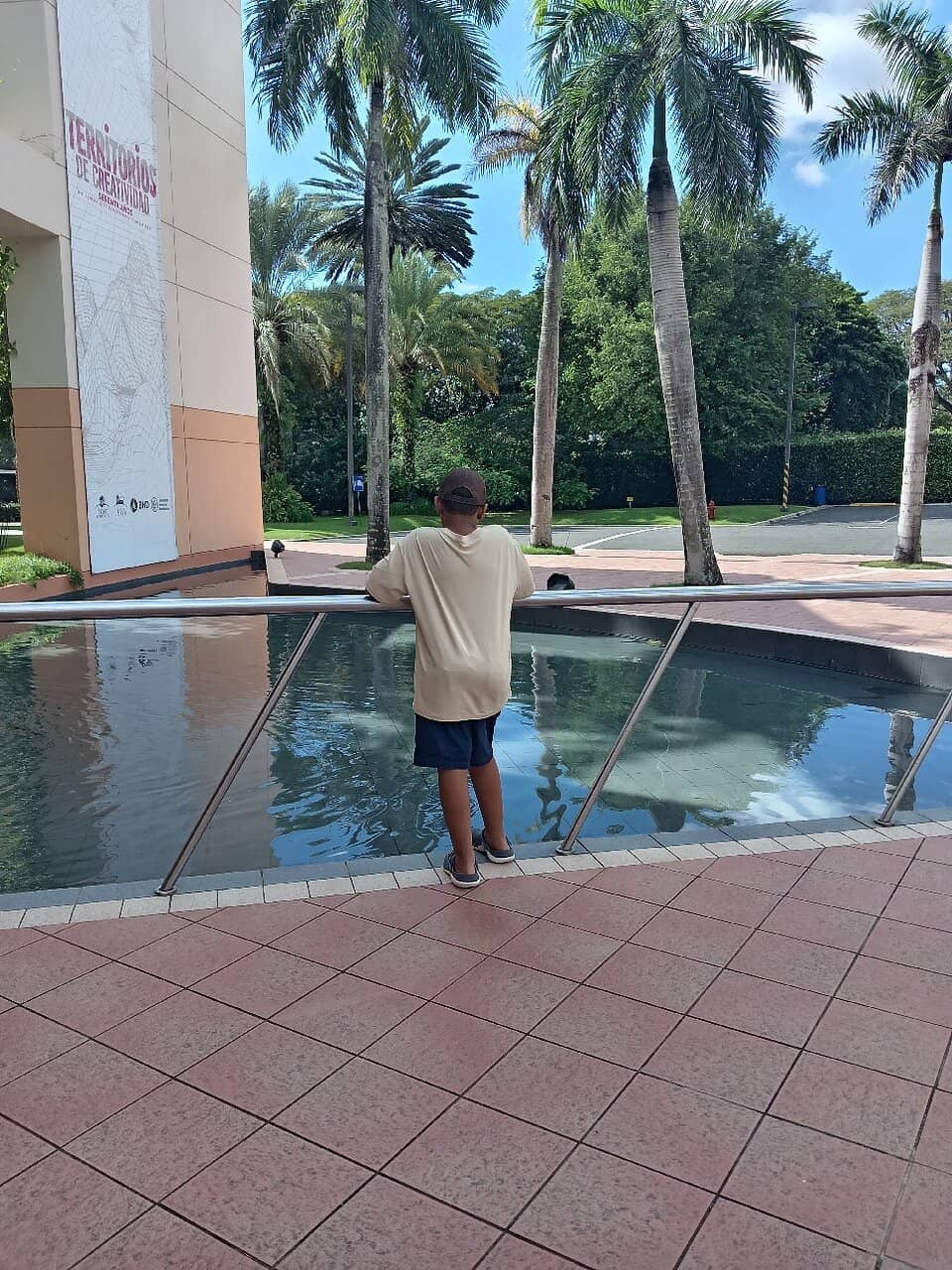 Library & Auditorium