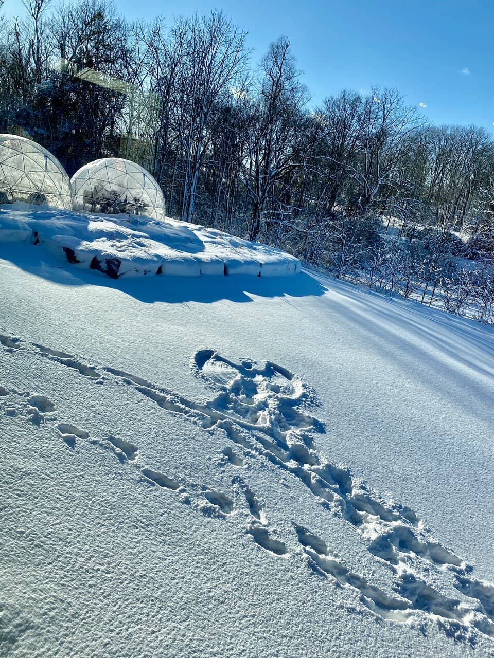 Vineyard Views & Patio