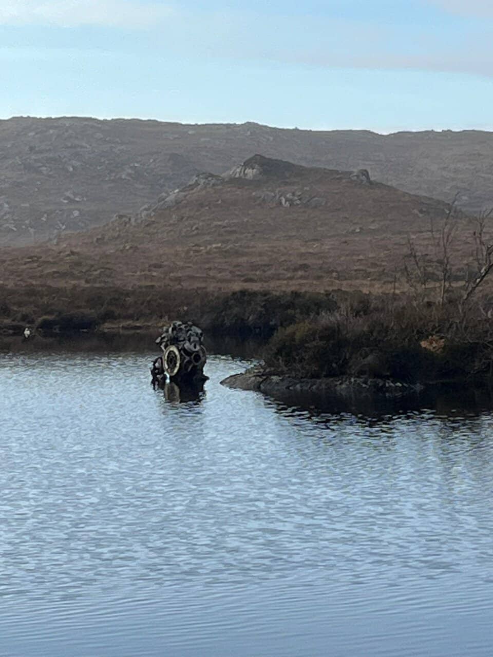 Abundant Wildlife