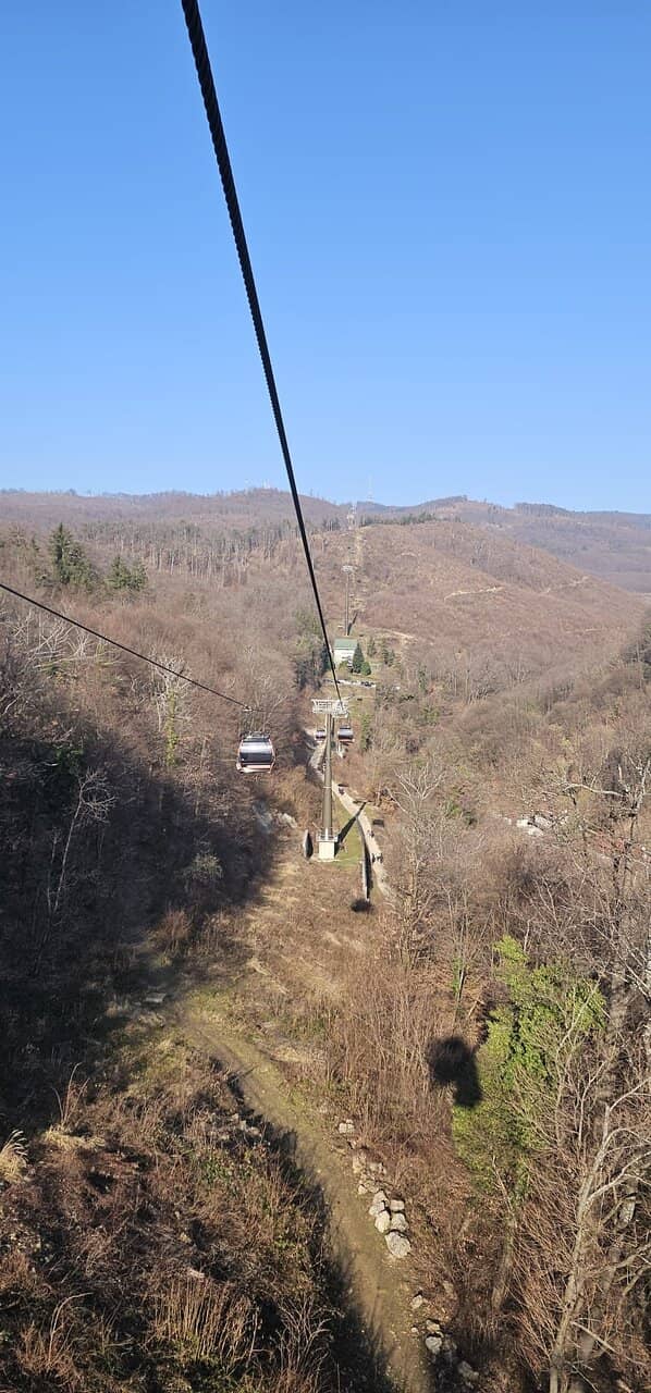 Panoramic City Views