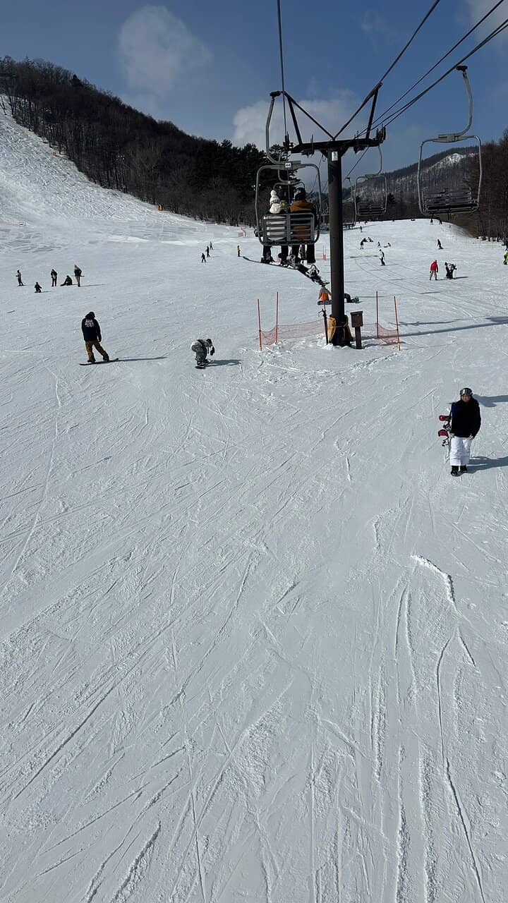 Highlights