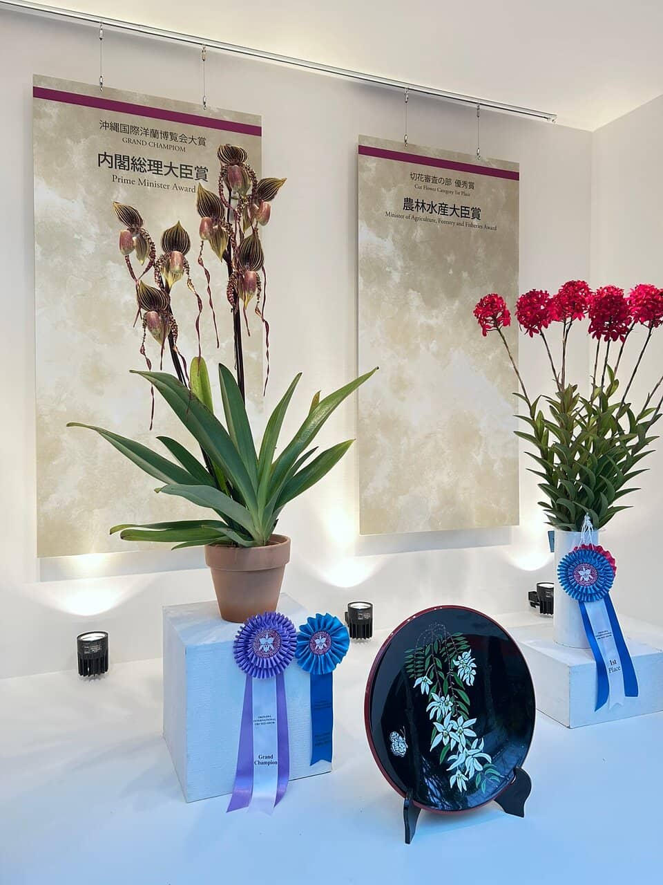 Tropical Rainforest Exhibit