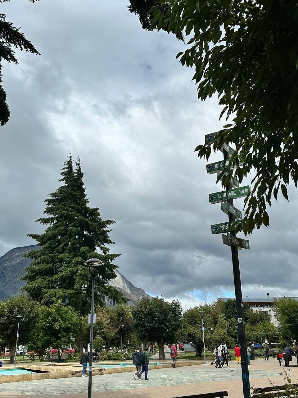 Vertical photo