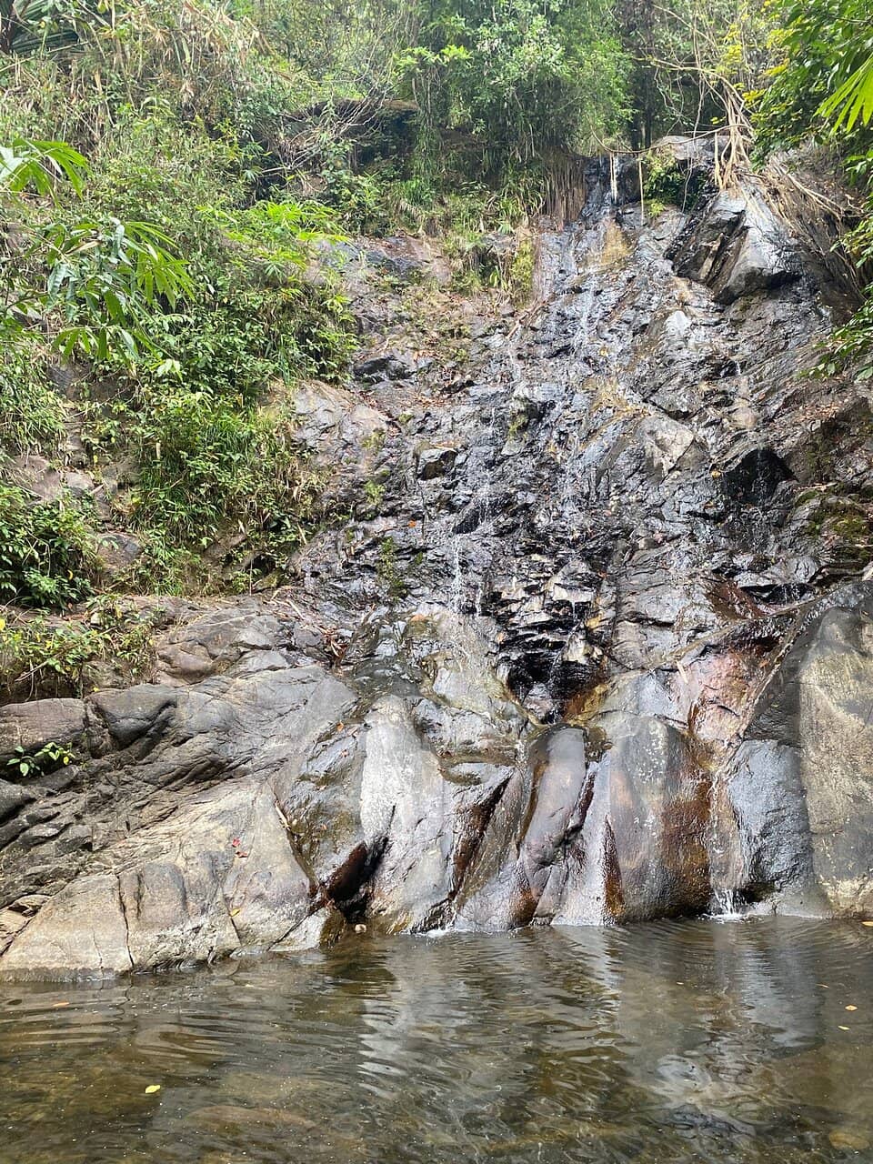 Refreshing Swimming Pool