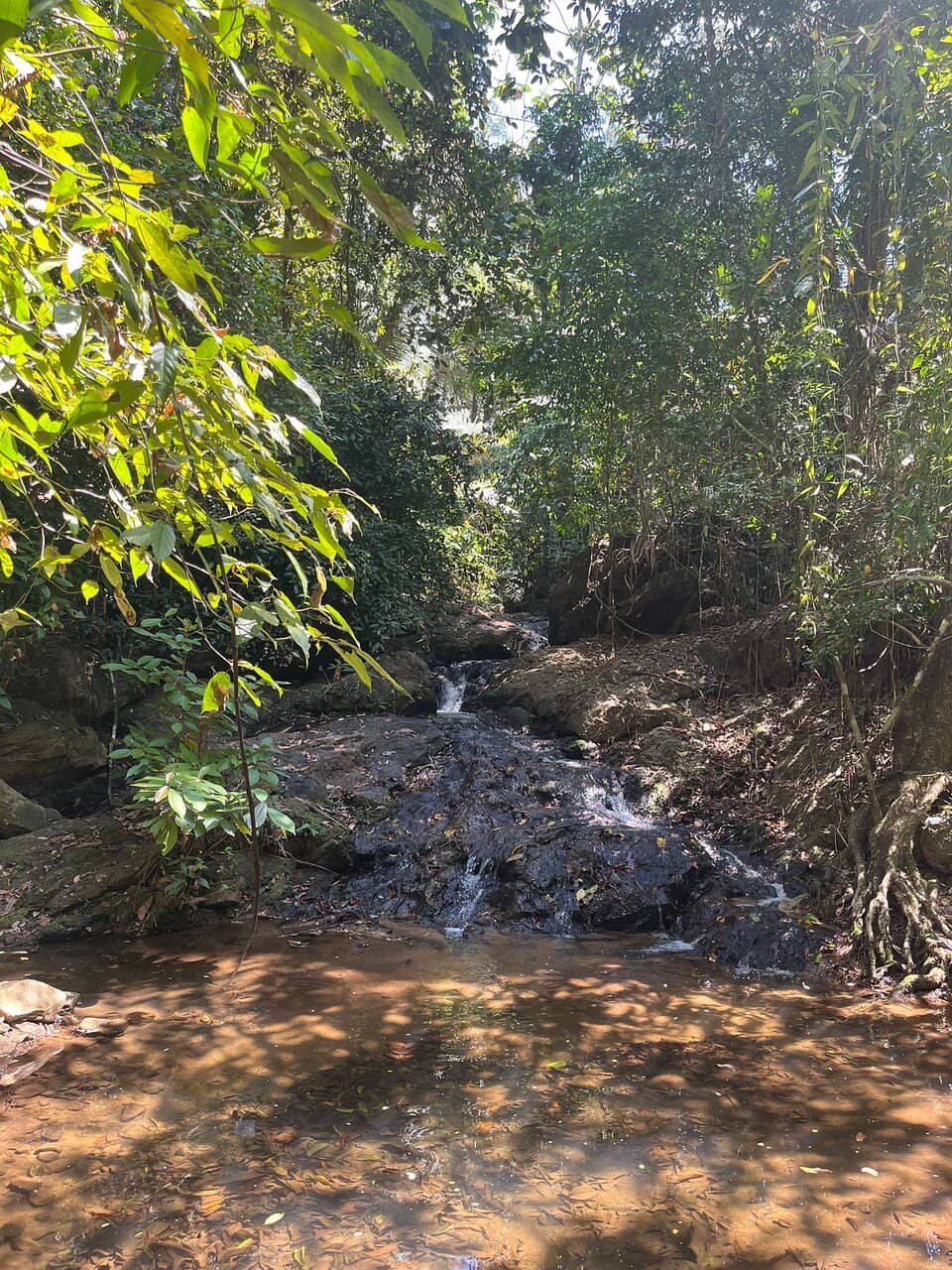 Cascading Waters