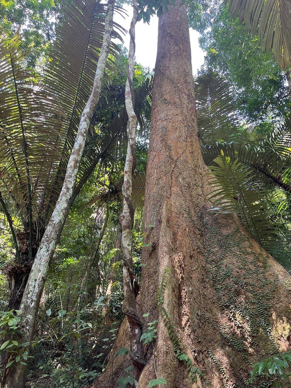 Vertical photo
