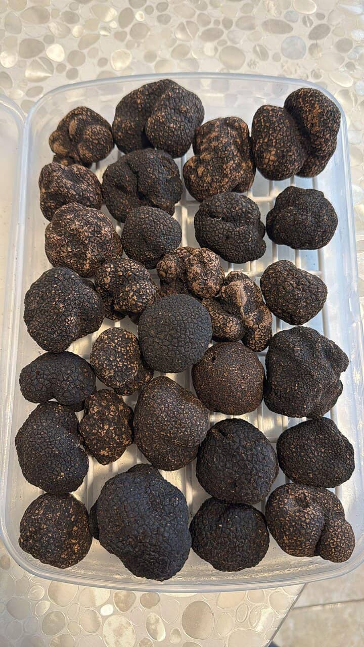 Signature Pasta Dishes