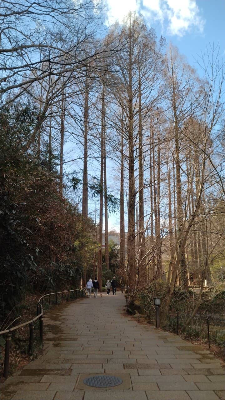 Azalea Gardens