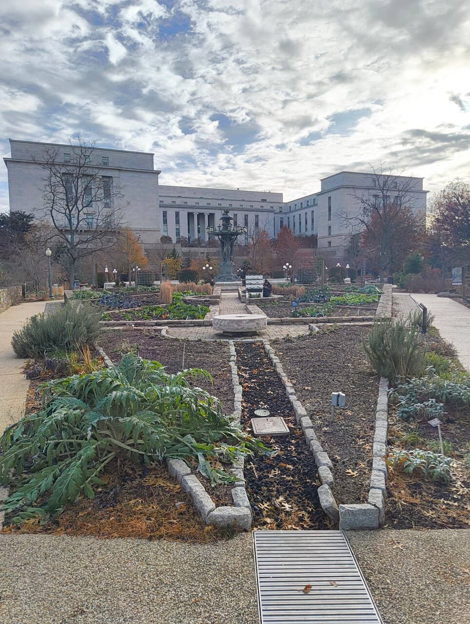 Kitchen Garden