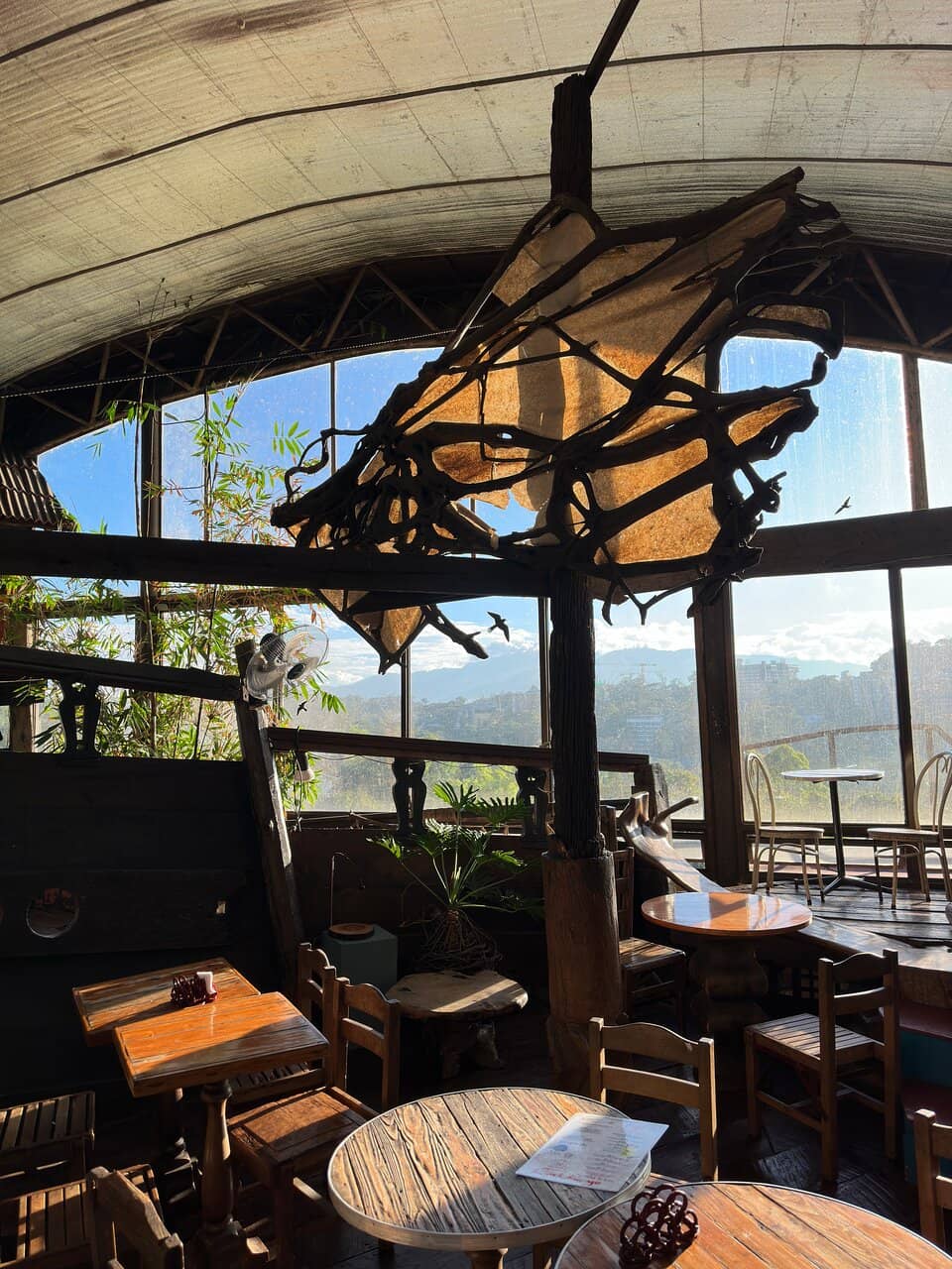 Generous Vegetarian Portions