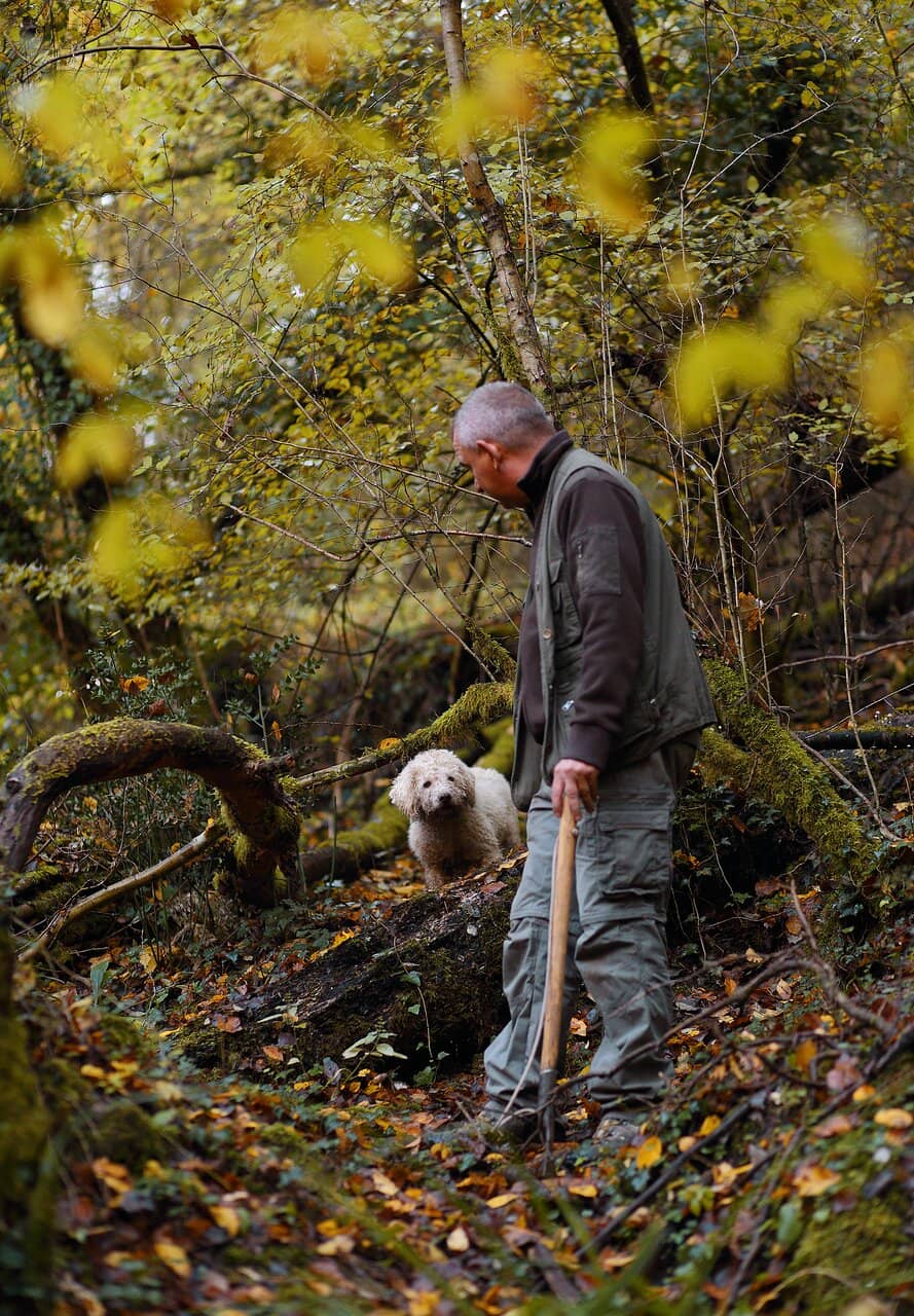Meet the Truffle Hunter
