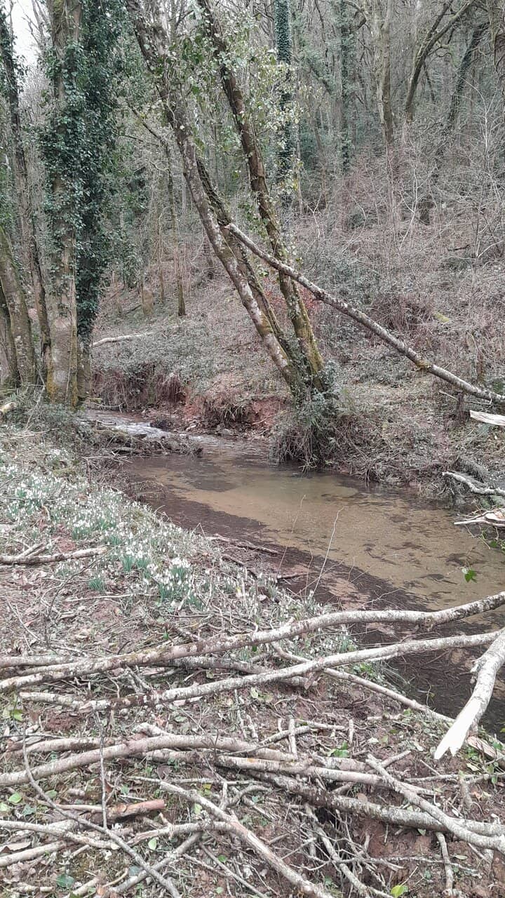 Scenic Exmoor Walk