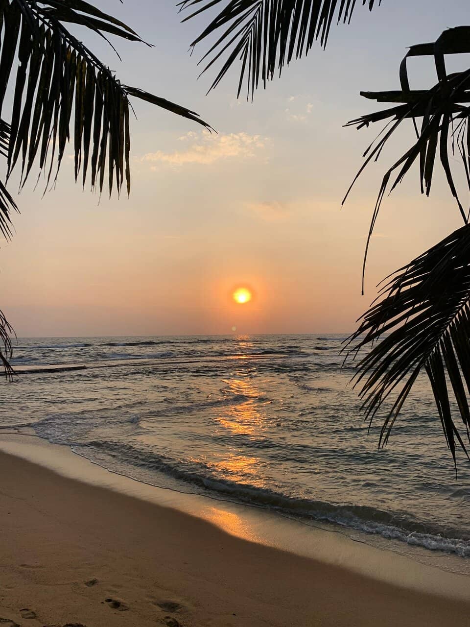 Sunset Views