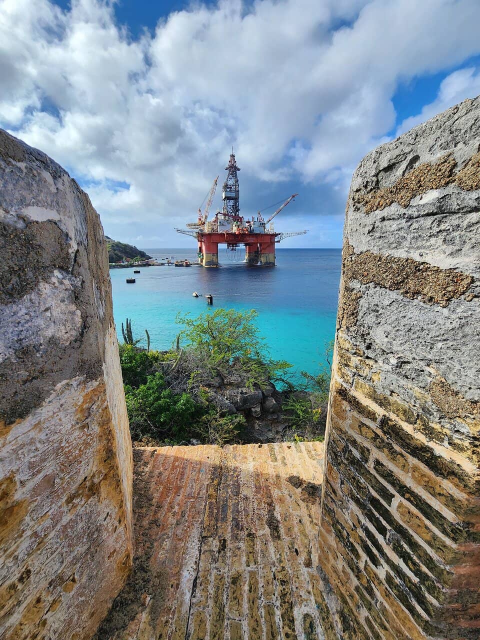 Impressive Cacti Garden