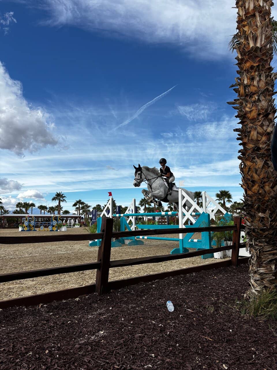 Grand Prix Show Jumping