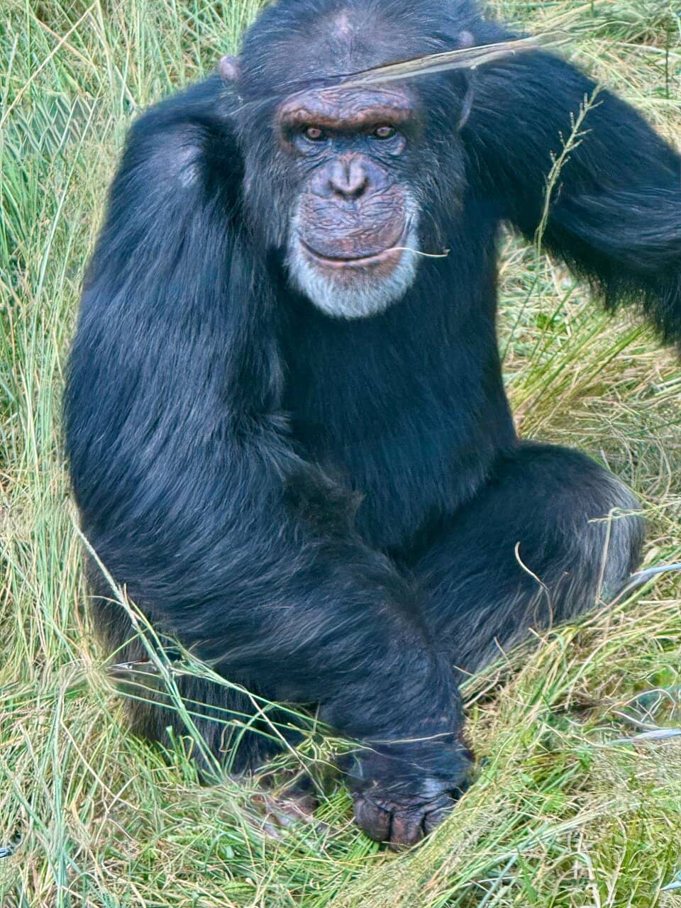 Support Conservation Efforts