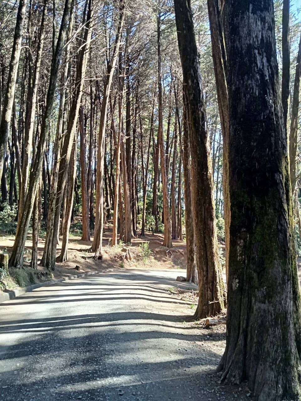 Vertical photo