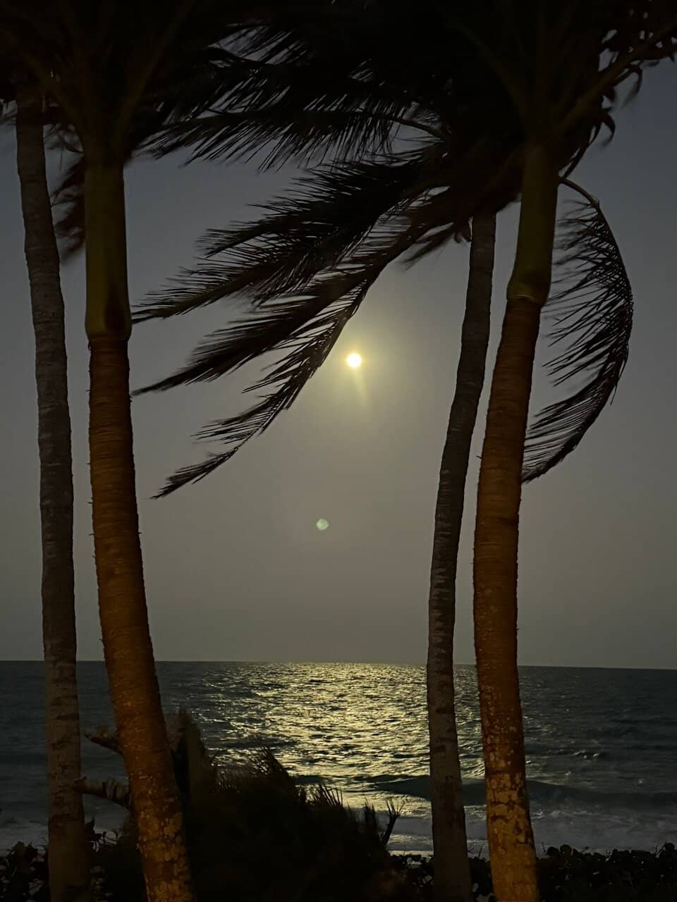 Generous Turkish Brunch