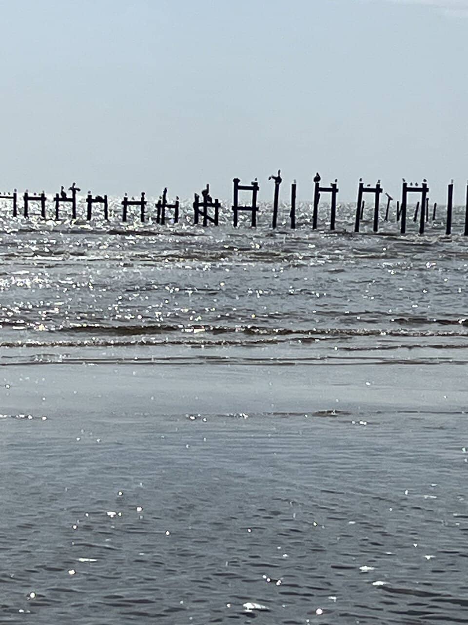 Lifeguard Protection