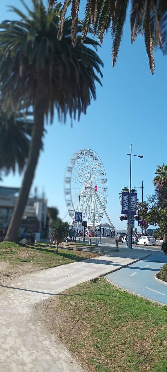 Ferris Wheel Views