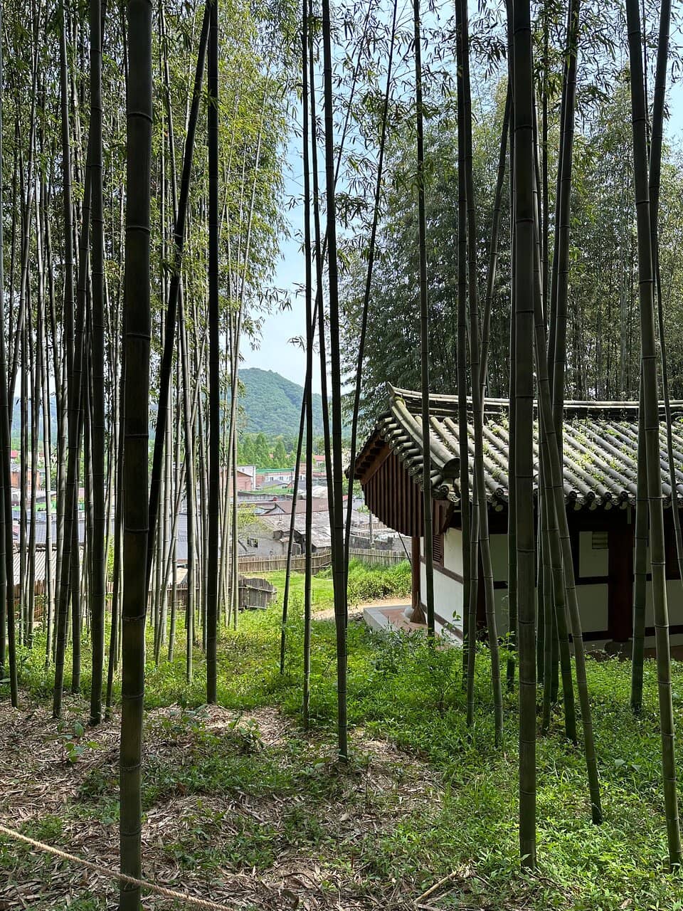 Tranquil Walking Paths