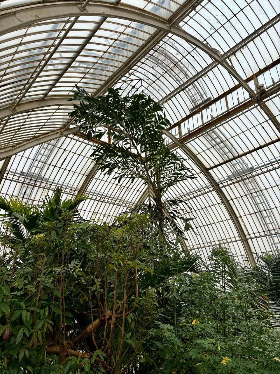 Bottomless Brunch Experience