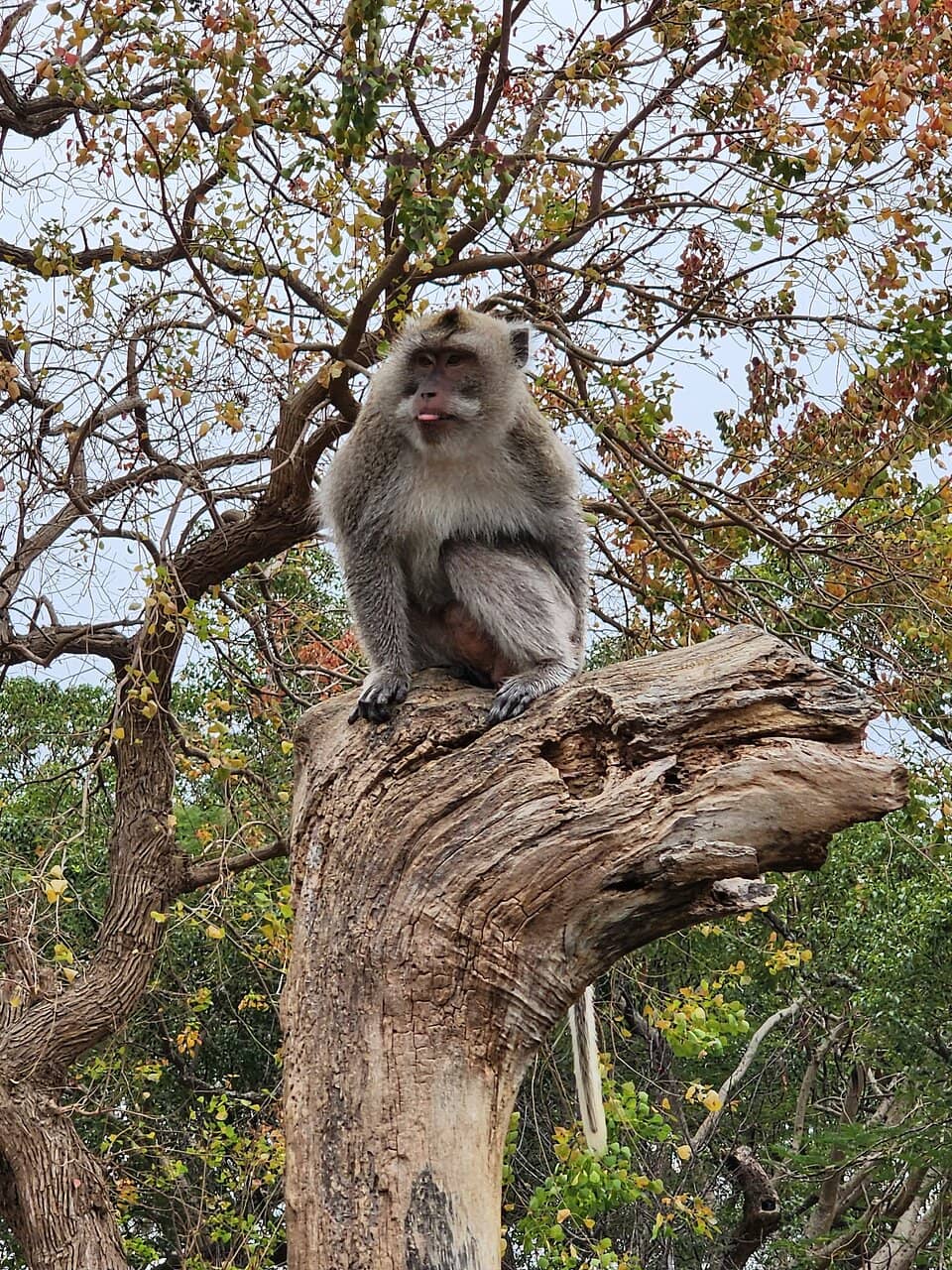 Historic Shrines & Monuments