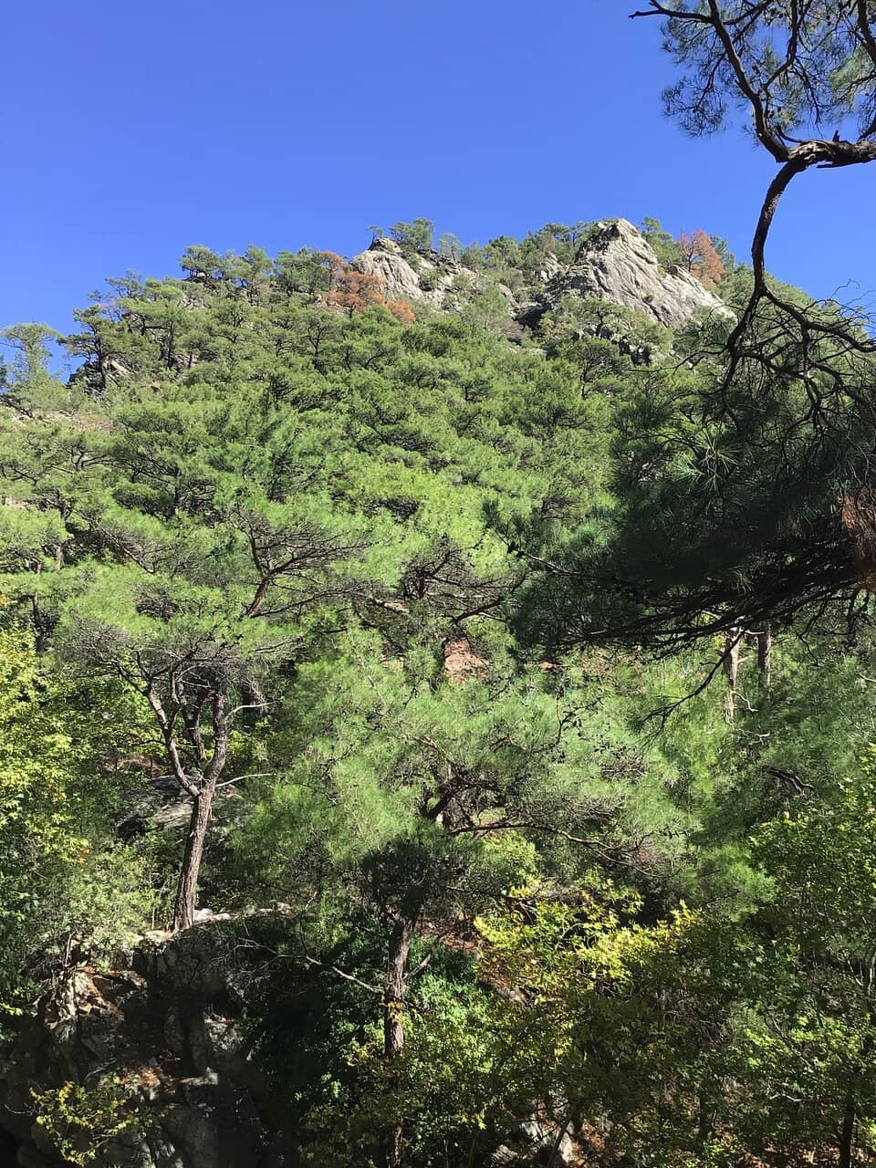 Vertical photo