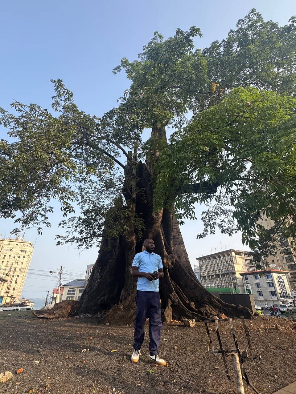 Freetown's Central Landmark