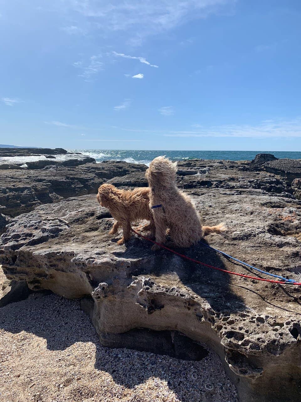 Coastal Cliff Top Walks