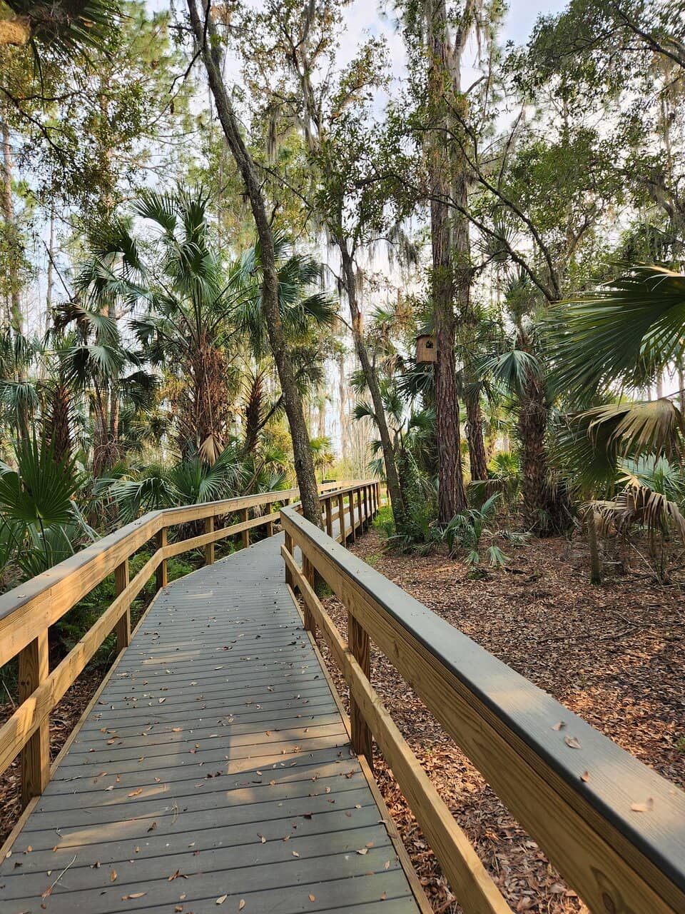 Butterfly Garden