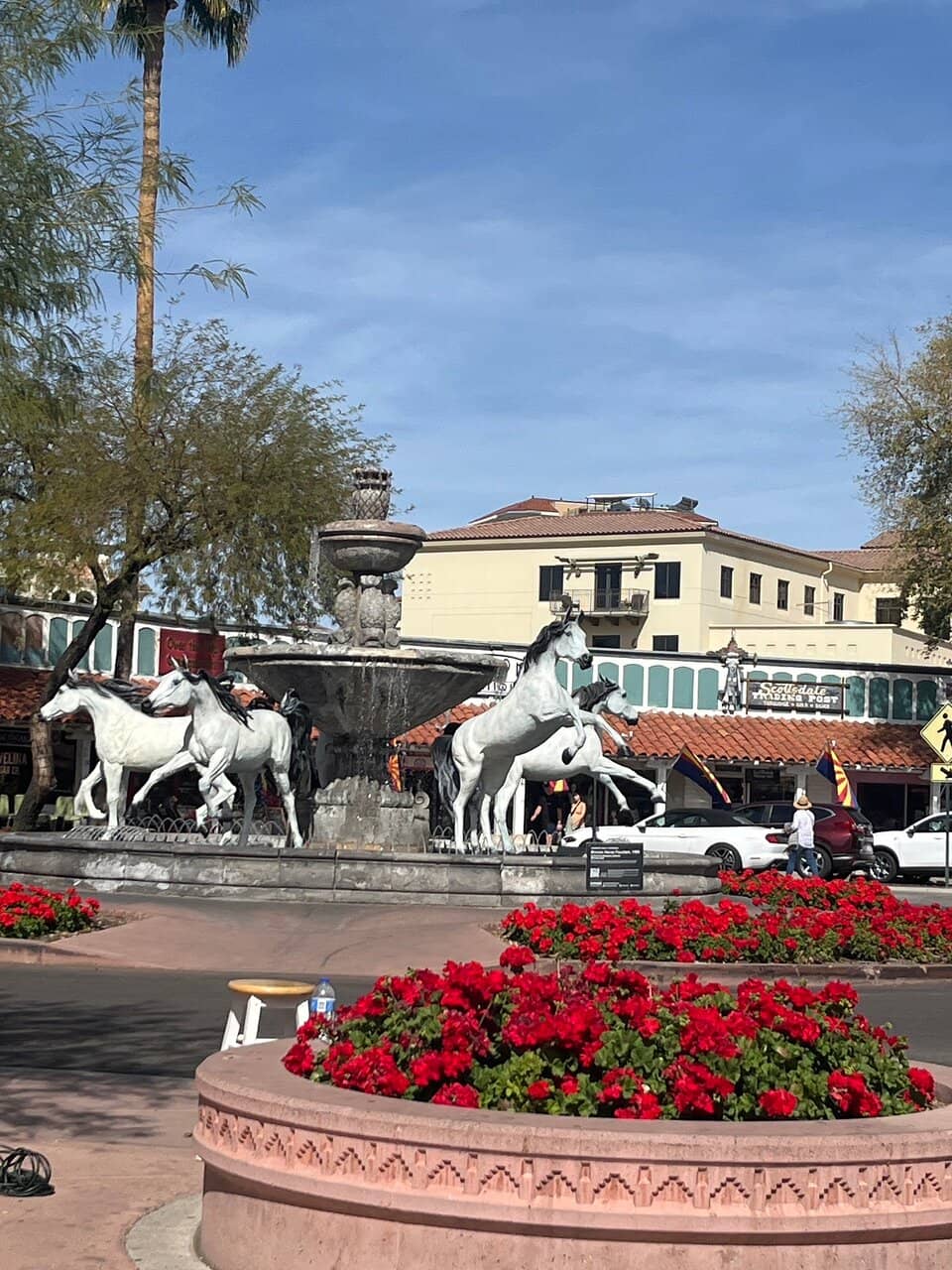 Majestic Bronze Stallions