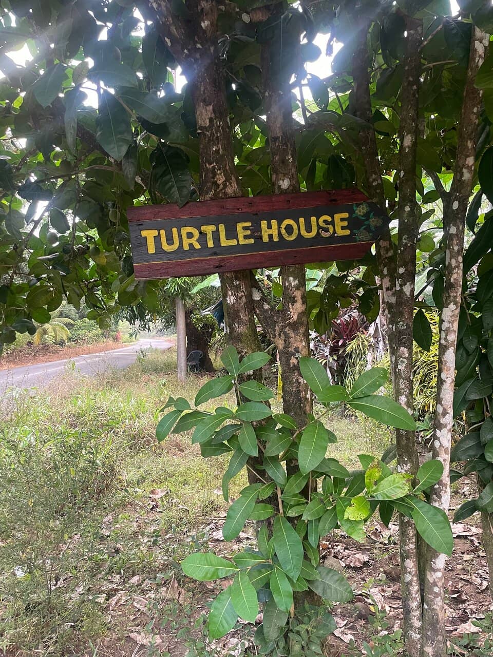 Surfing Opportunities