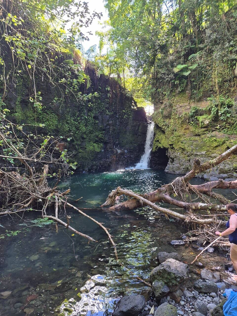 Cliff Jumping Spots