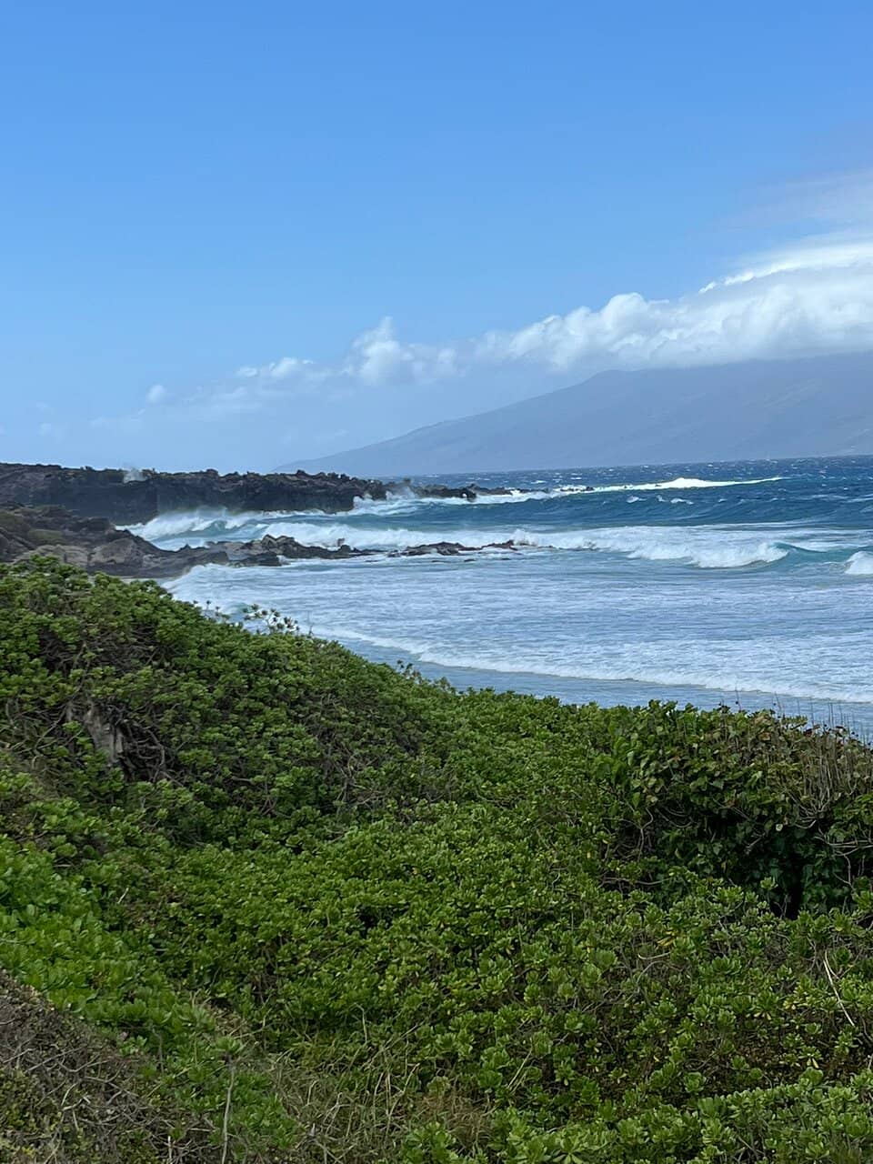 Tranquil Shores