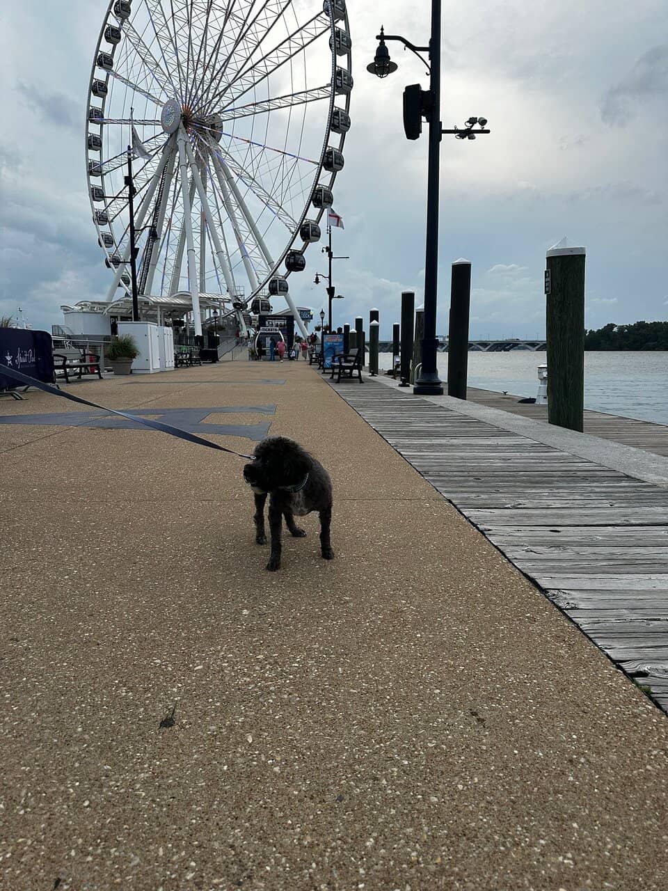 MGM National Harbor