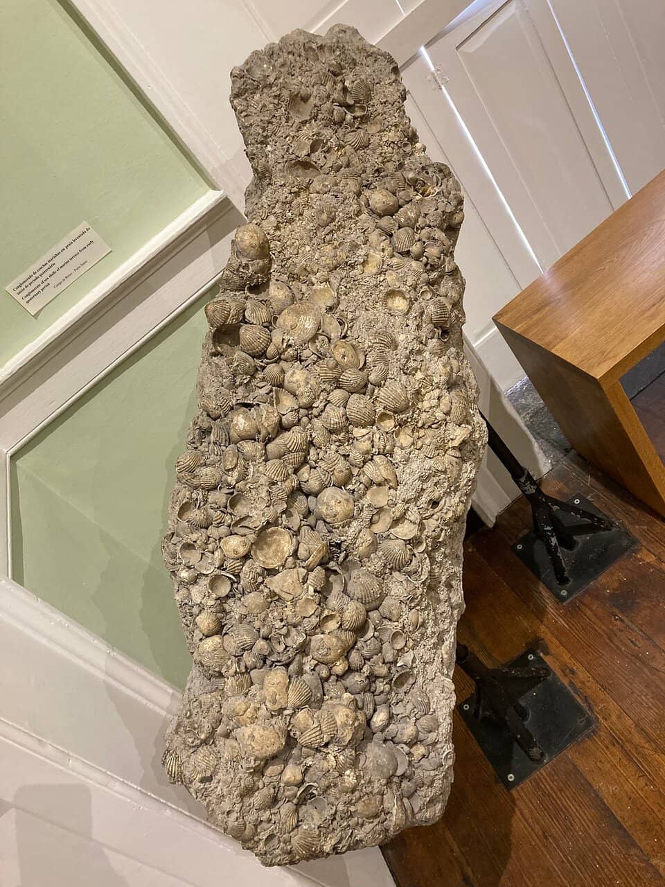 Vertical photo