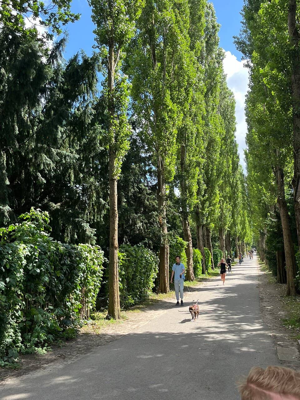 Søren Kierkegaard's Resting Place