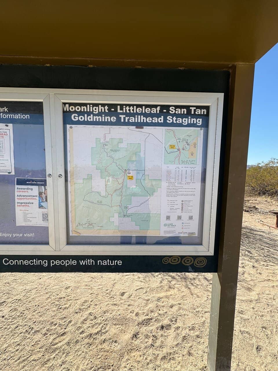 Moonlight Trail