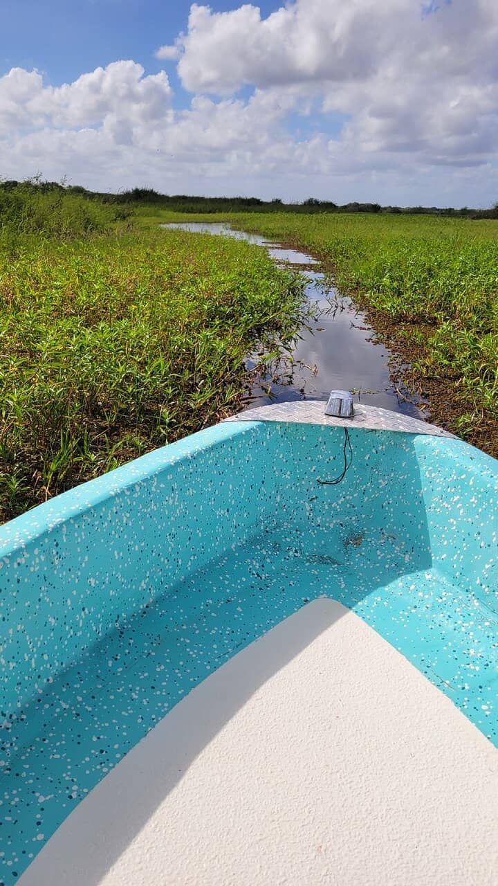 Crooked Tree Lagoon Tours