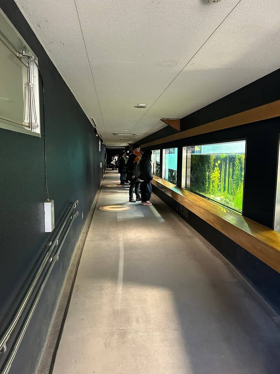 Botanical Garden & Sculpture Garden