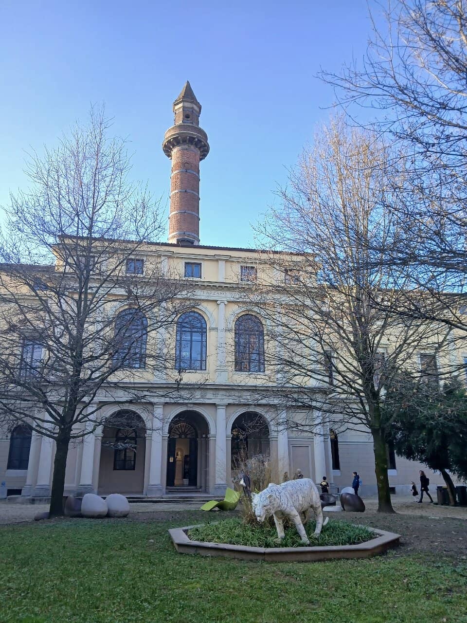 Taxidermy Collection