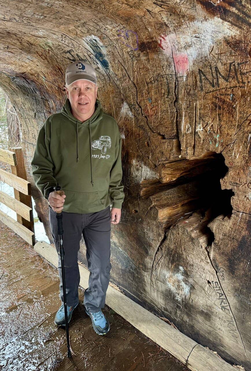 Drive Through Tunnel Log