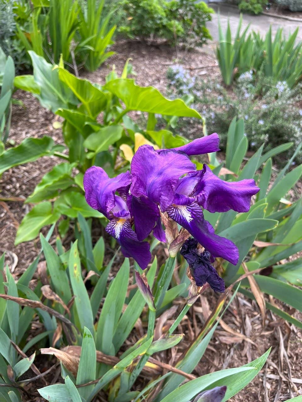 The 'Nature Trail' Loop