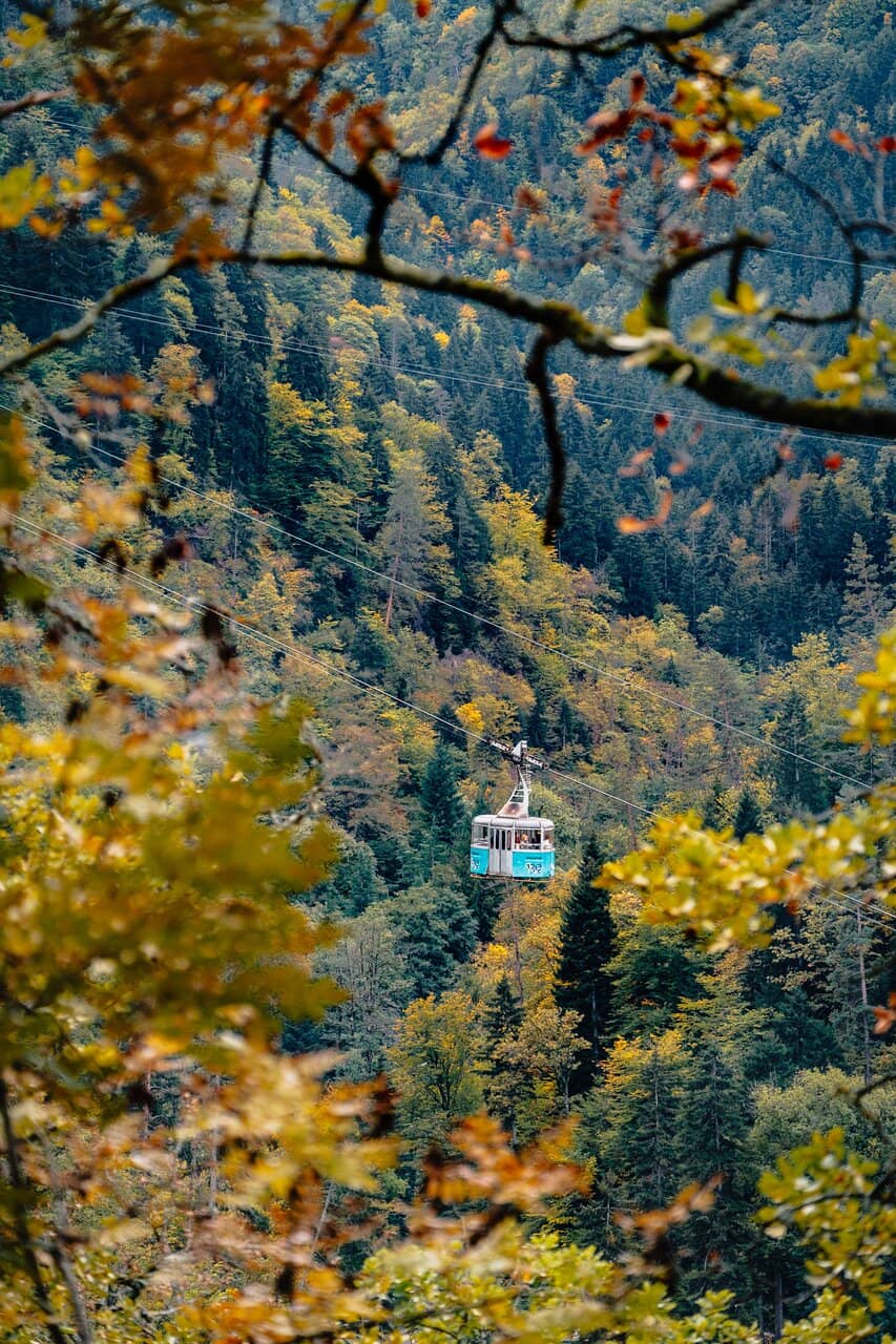 Vertical photo